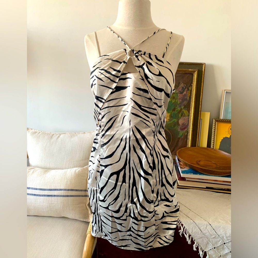 Animal print Zara mini dress in great condition 🌷